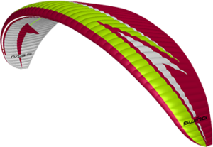 NYOS_RS_berry