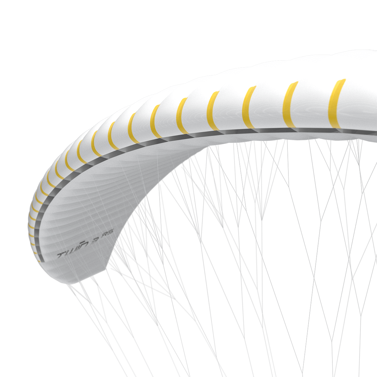 Twin 3 RS Swing Parapente Tandem Gleitschirm